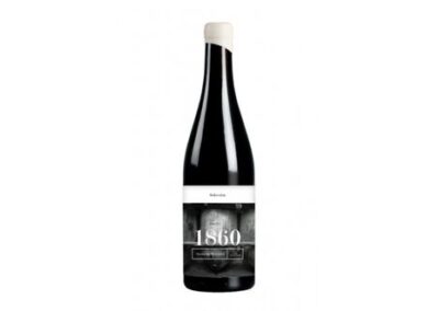 1860 Tinto Selección 2020